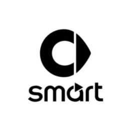 Buy Smart Logo Vinyl Decal Sticker Online