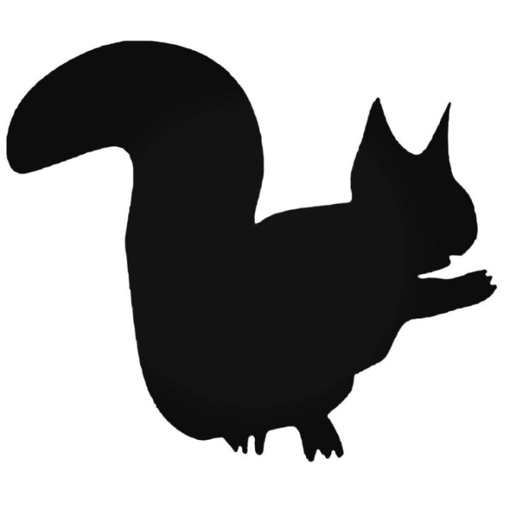 Buy Squirrel Decal Sticker Online