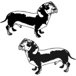 Buy Daschund 2 Online