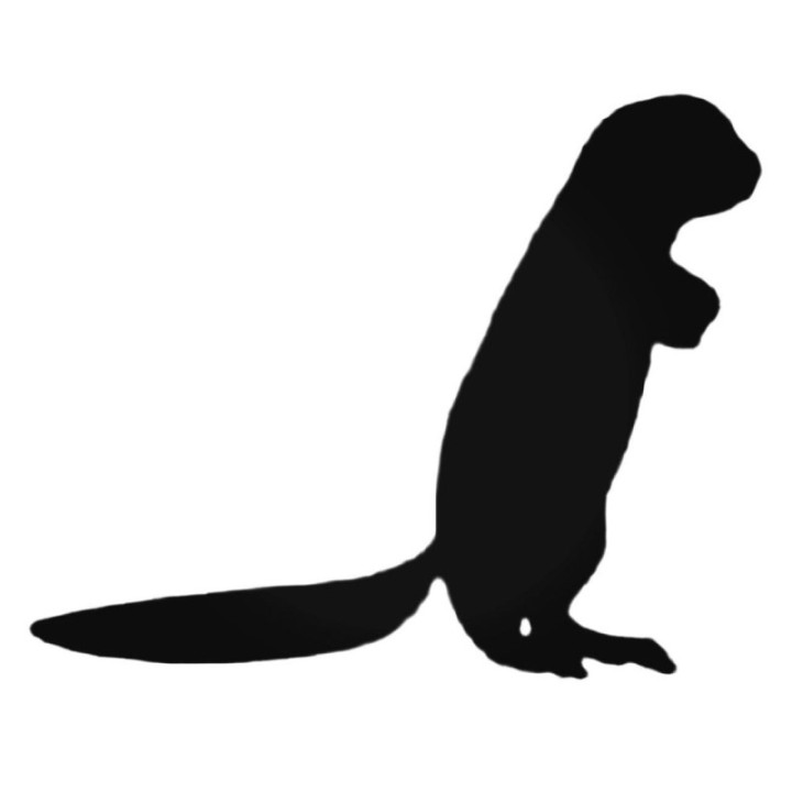 Buy Standing Ferret Decal Sticker Online