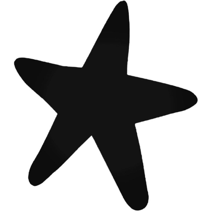 Starfish Stickers – Sea Life Ocean Decals (2-Pack)