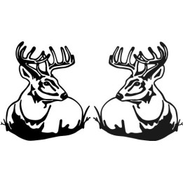 Buy Deer Head Wildlfie Online