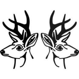 Buy Deer Wildlfie Online