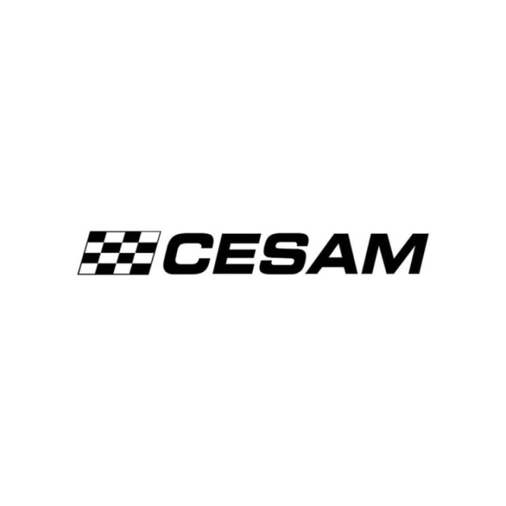 Buy Stickers Cesam Drapeaux Vinyl Decal Sticker Online