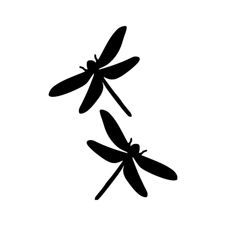 Buy Dragonfly Wildlfie Online