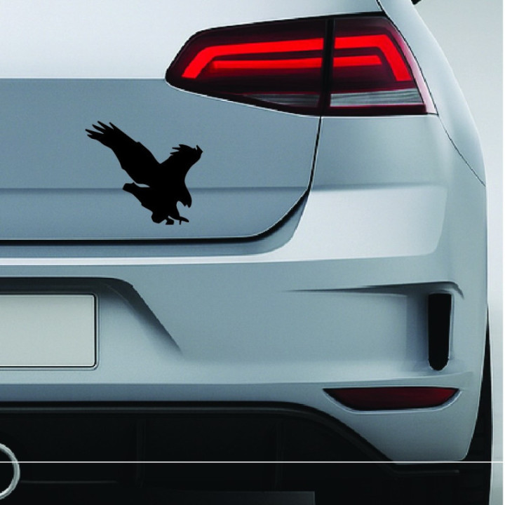 Buy Eagle Hawk Falcon Bird Online