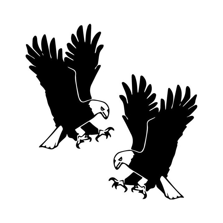 Buy Eagle Wildlfie Online
