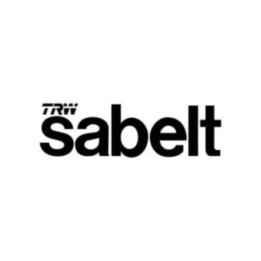 Buy Stickers Sabelt Trw Vinyl Decal Sticker Online