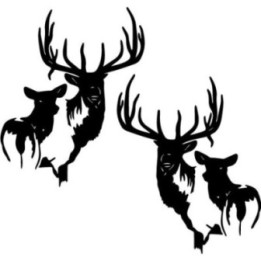 Buy Elk Family Wildlfie Online