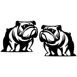 Buy English Bulldog Online