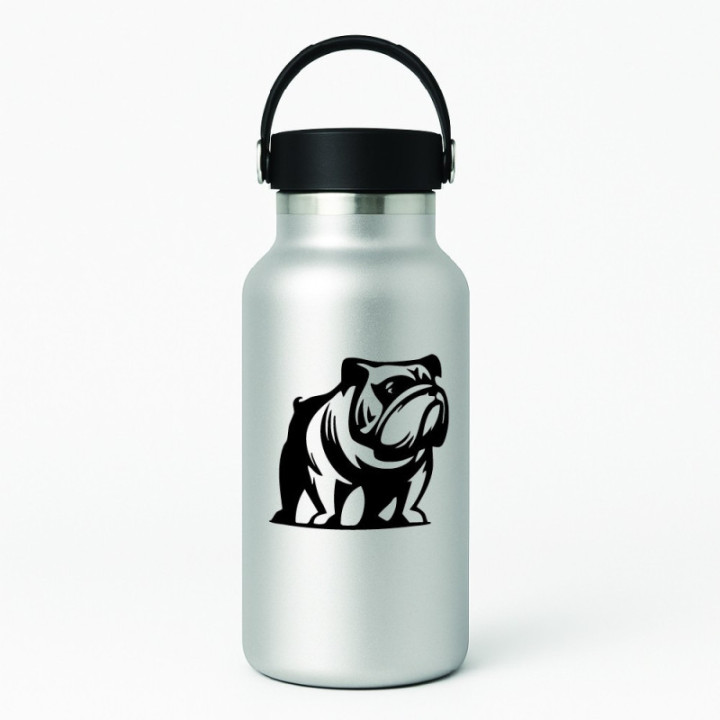 Buy English Bulldog Online