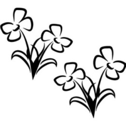 Floral Flower Stickers – Botanical Bloom Decals (2-Pack)