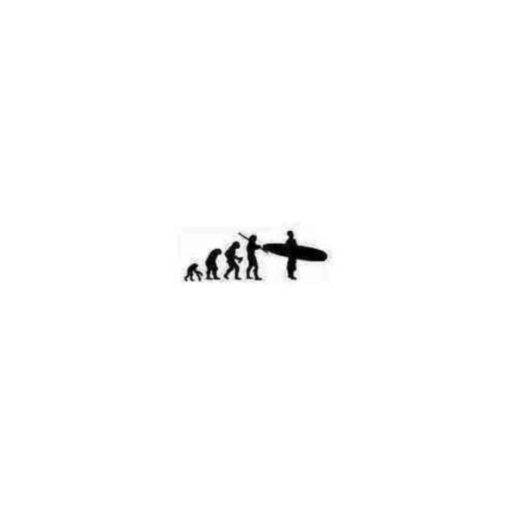 Buy Surfer Evolution Decal Sticker Online