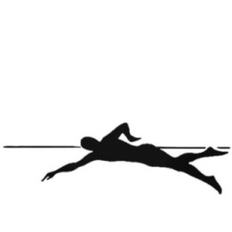 Buy Swimming Front Crawl Stroke Water Level Decal Sticker Online