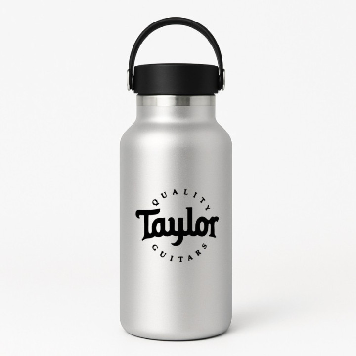 Taylor Guitars Stickers – 314ce 814ce GS Mini Decals (2-Pack)