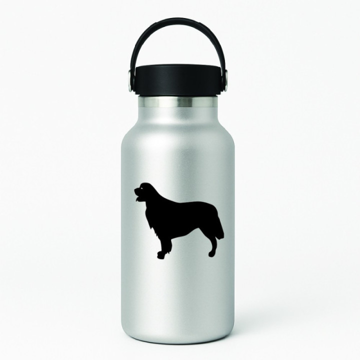 Buy Golden Retriever Dog Online