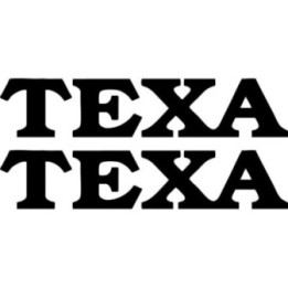 Texa Diagnostics Stickers – Axone Workshop Decals (2-Pack)
