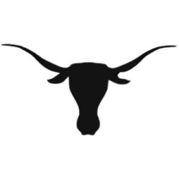 Texas Longhorn Stickers – Bull Western Decals (2-Pack)