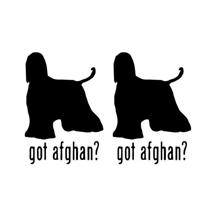 Buy Got Afghan Hound Dog Online