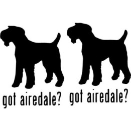 Buy Got Airedale Terrier Dog Online
