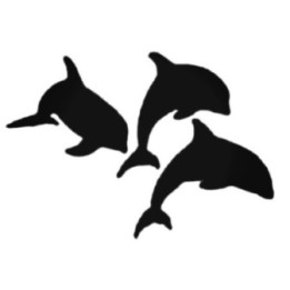 Dolphins Swimming Stickers – Sea Life Decals (2-Pack)