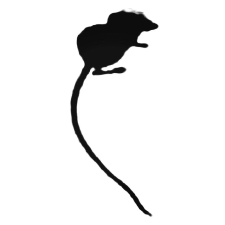 Buy Tiny Fuzzy Mouse Decal Sticker Online