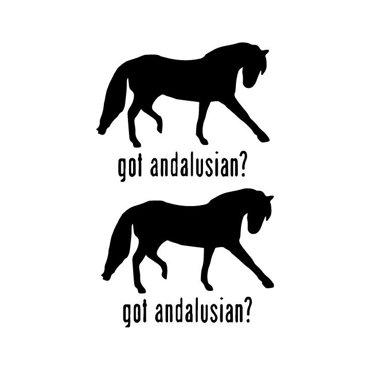 Buy Got Andalusian Horse Online