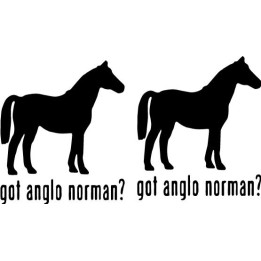 Buy Got Anglo Norman Horse Online