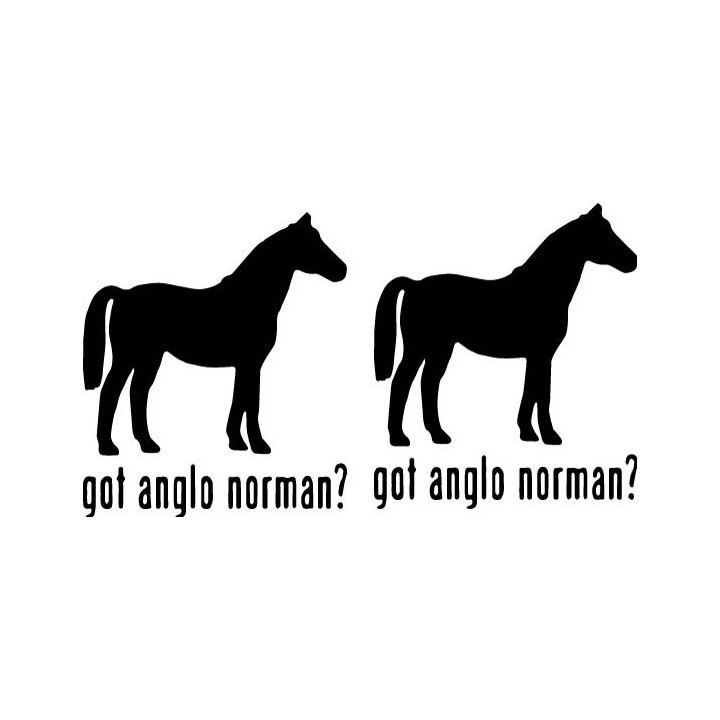 Buy Got Anglo Norman Horse Online