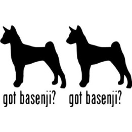 Buy Got Basenji Hound Dog Online