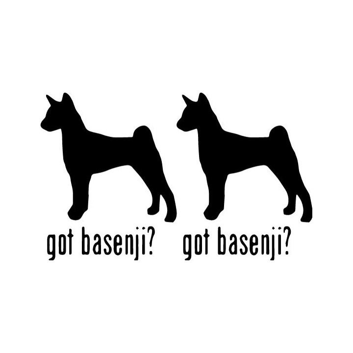 Buy Got Basenji Hound Dog Online