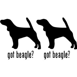 Buy Got Beagle Hound Dog Online