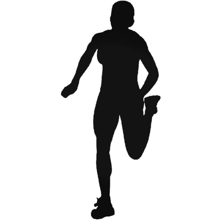 Buy Track And Field 1 Vinyl Decal Sticker Online