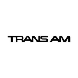 Buy Trans Am Windshield Vinyl Decal Sticker Online