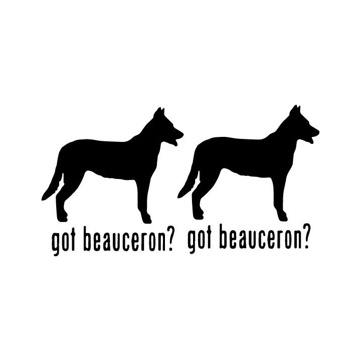 Buy Got Beauceron Dog Online