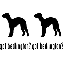 Buy Got Bedlington Terrier Dog Online
