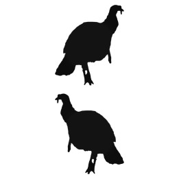 Buy Turkey Hunting S Style 528 Decal Sticker Online