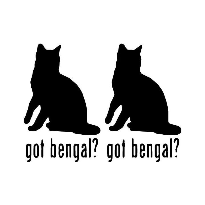 Buy Got Bengal Cat Online