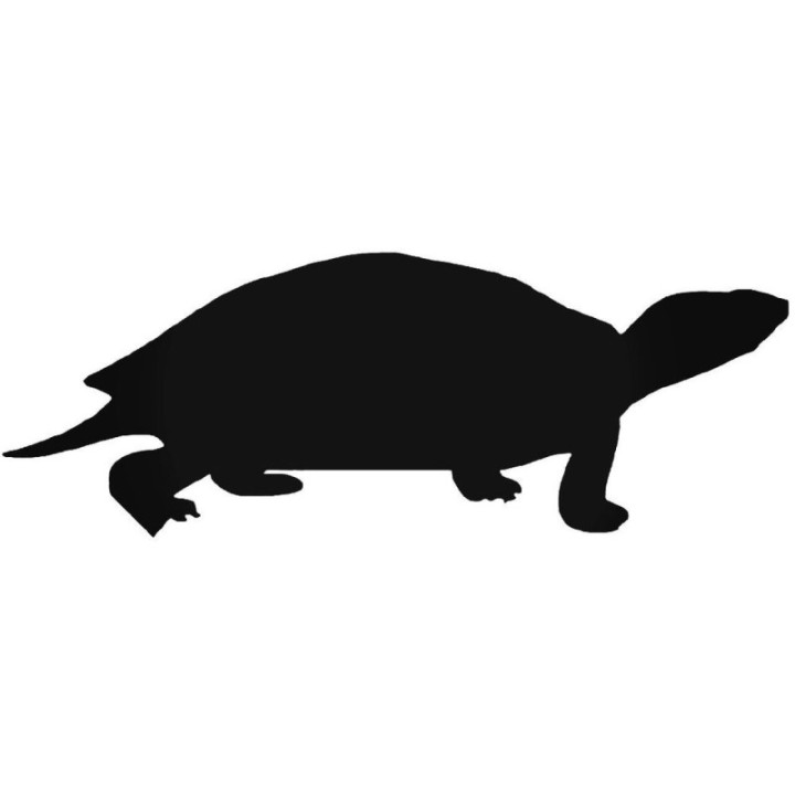 Buy Turtle 8 Decal Sticker Online