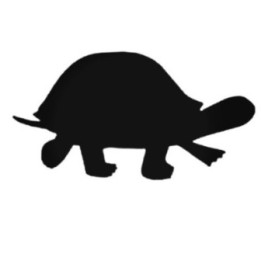 Buy Turtle Silouhette Decal Sticker Online
