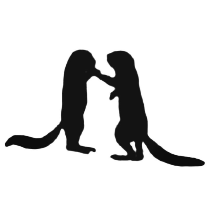 Buy Two Ferrets Decal Sticker Online