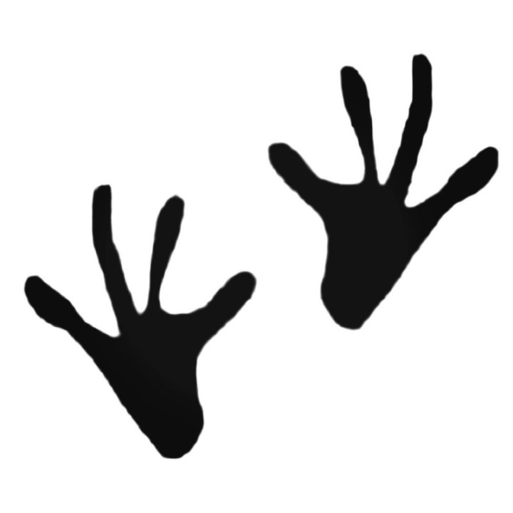 Buy Two Frog Footprints Decal Sticker Online