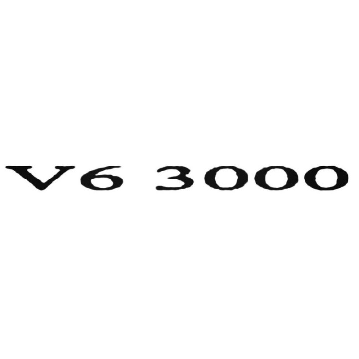 Buy V6 3000 Decal Sticker Online