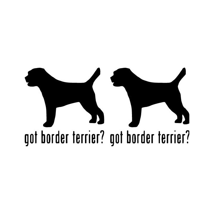 Buy Got Border Terrier Dog Online