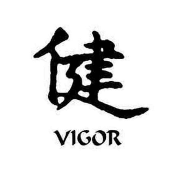 Vigor Kanji Stickers – Japanese Symbol Decals (2-Pack)