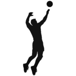 Buy Volleyball 2 Vinyl Decal Sticker Online