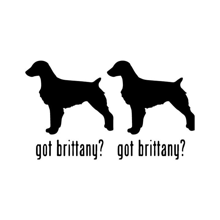 Buy Got Brittany Retriever Dog Online