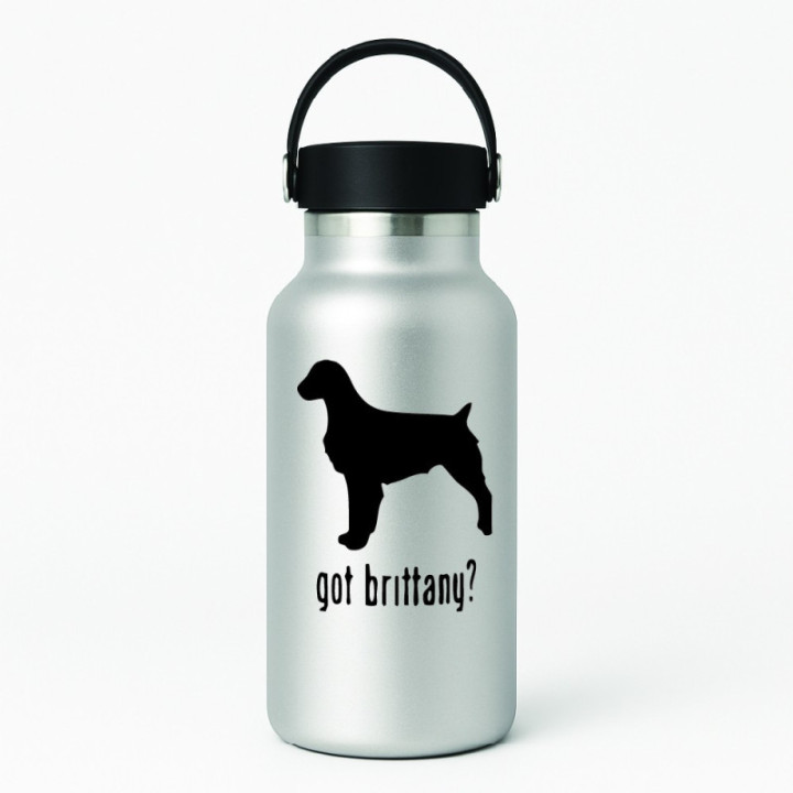 Buy Got Brittany Retriever Dog Online