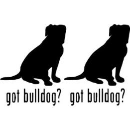 Buy Got Bulldog Dog Online