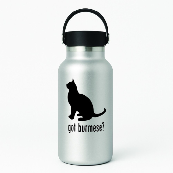 Buy Got Burmese Cat Online